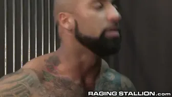 Muscle