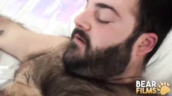 BEARFILMS Inked Bear Fingers And Pounds Hairy Enzo Ferrari