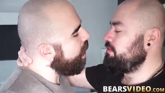 Bears Jean Paul and Bear Silien wear leather while plowing